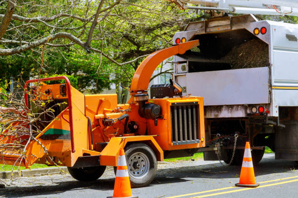 Best Lot and Land Clearing  in New Philadelphia, OH